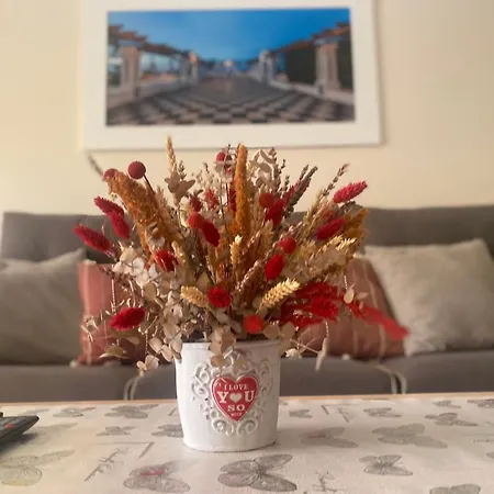Apartamento Cal Albir *